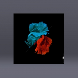 WAV