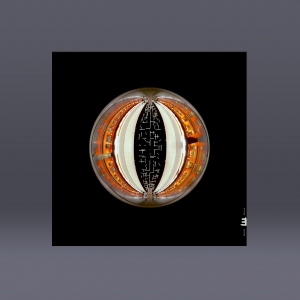 WAV