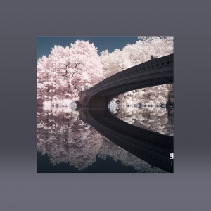 WAV