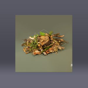24Bit 48kHz WAV