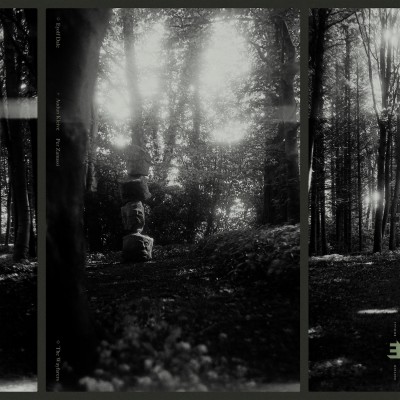 Eyolf Dale | The Wayfarers