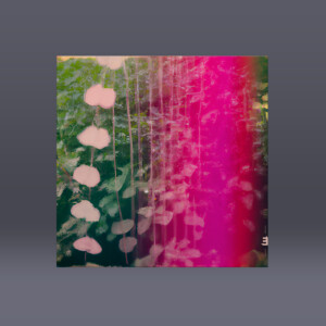 Digital Download (Contains WAV, AIFF and MP3)