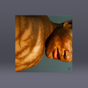 Digital Download (Contains WAV, AIFF and MP3)