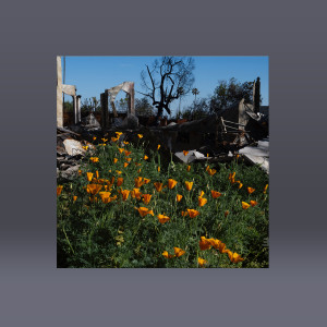 Digital Download (Contains WAV, AIFF and MP3)