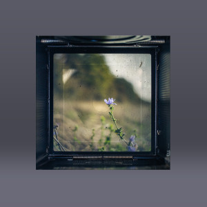 Digital download (includes WAV, MP3, AIFF)